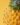 Ananas – Image 2