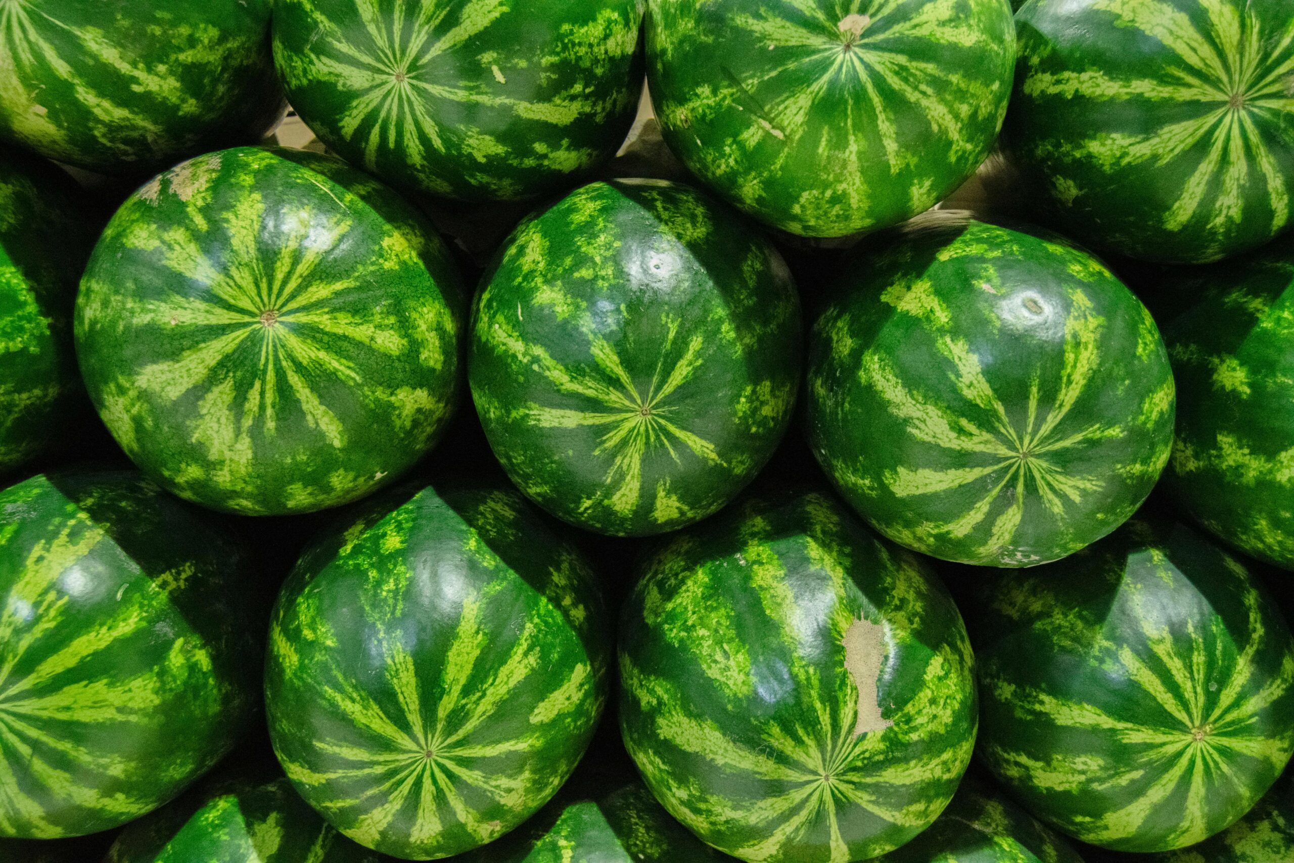 Close-up of fresh green watermelons stacked in vibrant arrangement, perfect for summer themes.