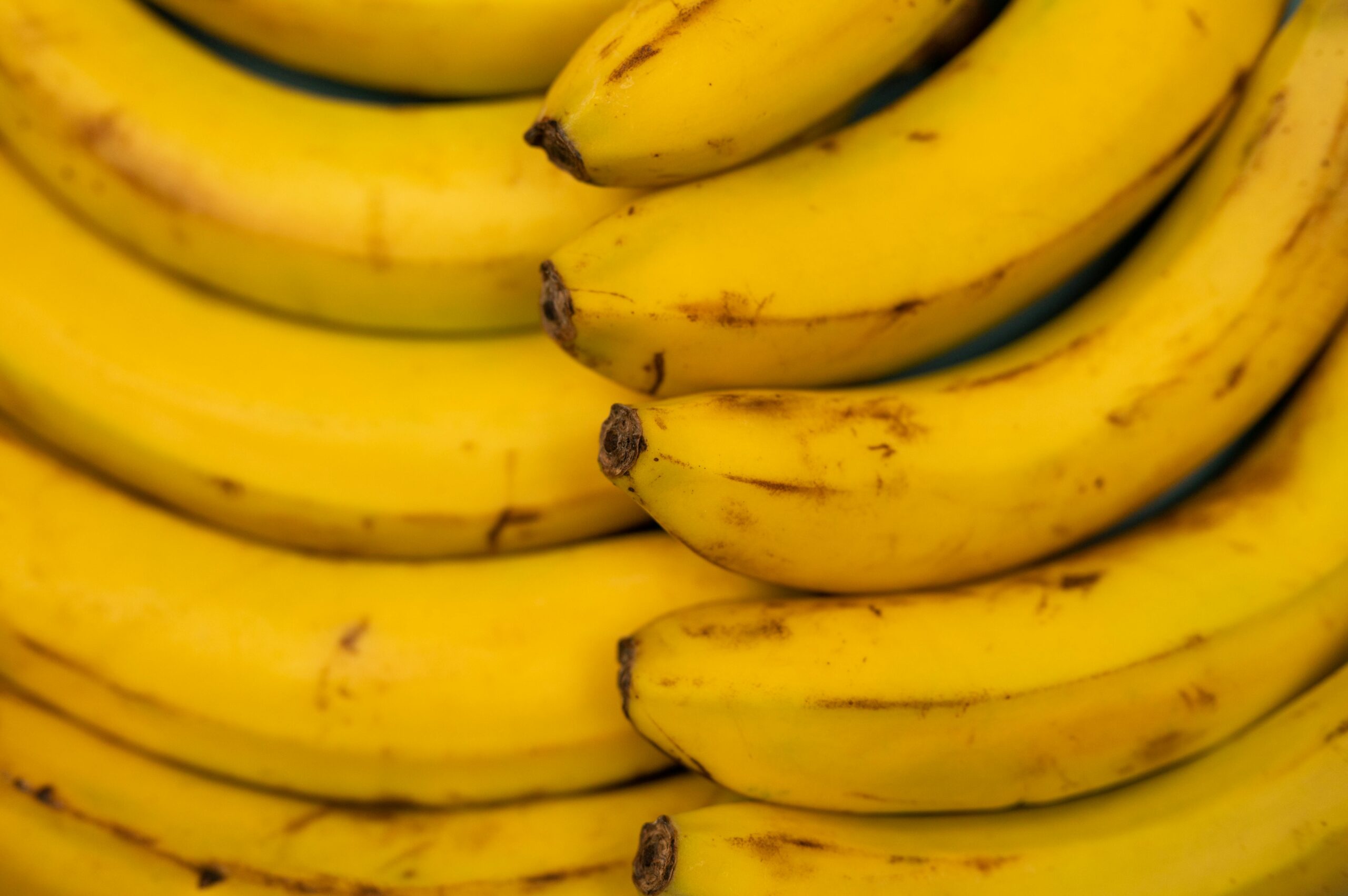 Close-up view of ripe yellow bananas arranged in a curved pattern.